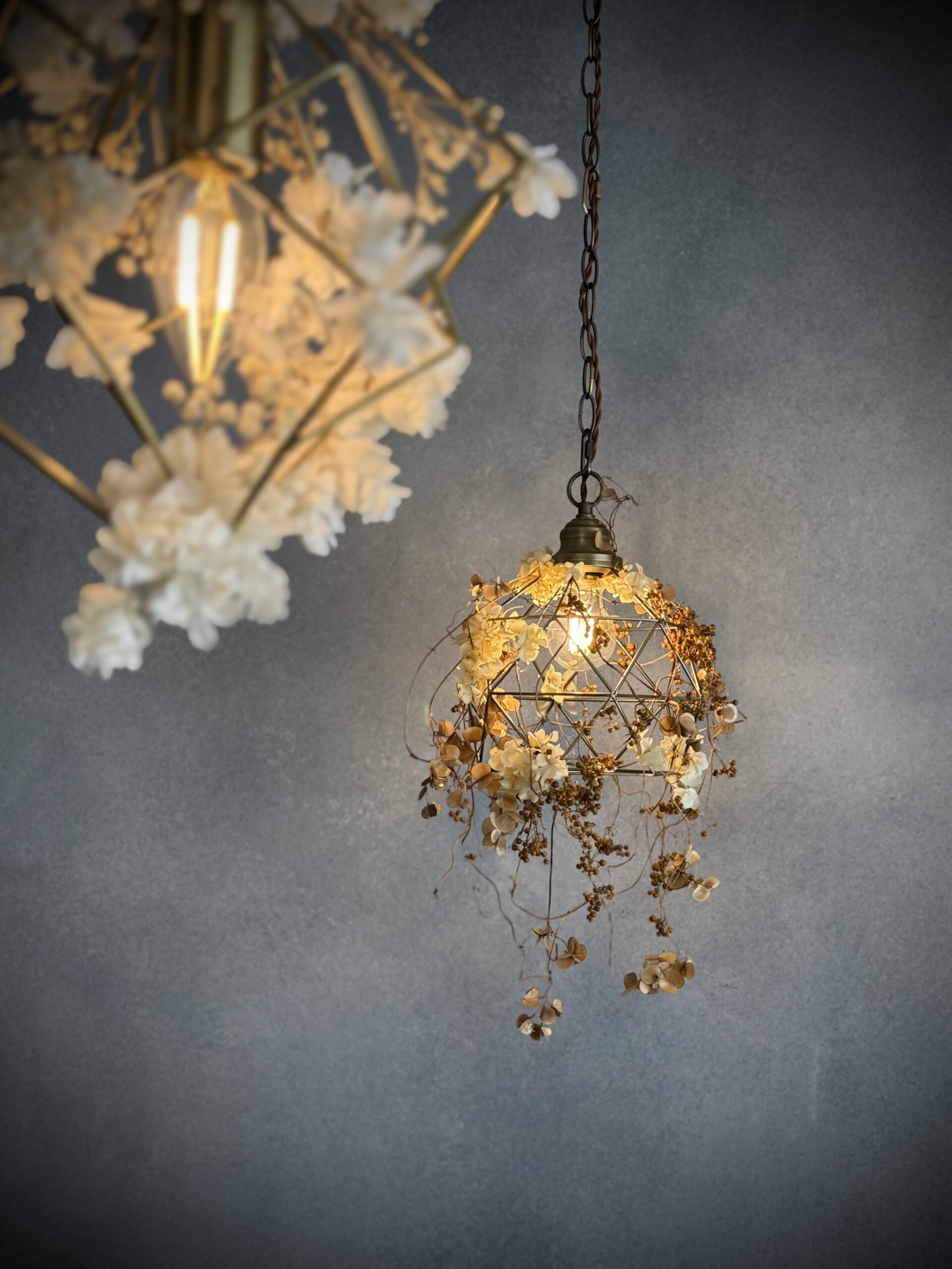 Light and Flowers